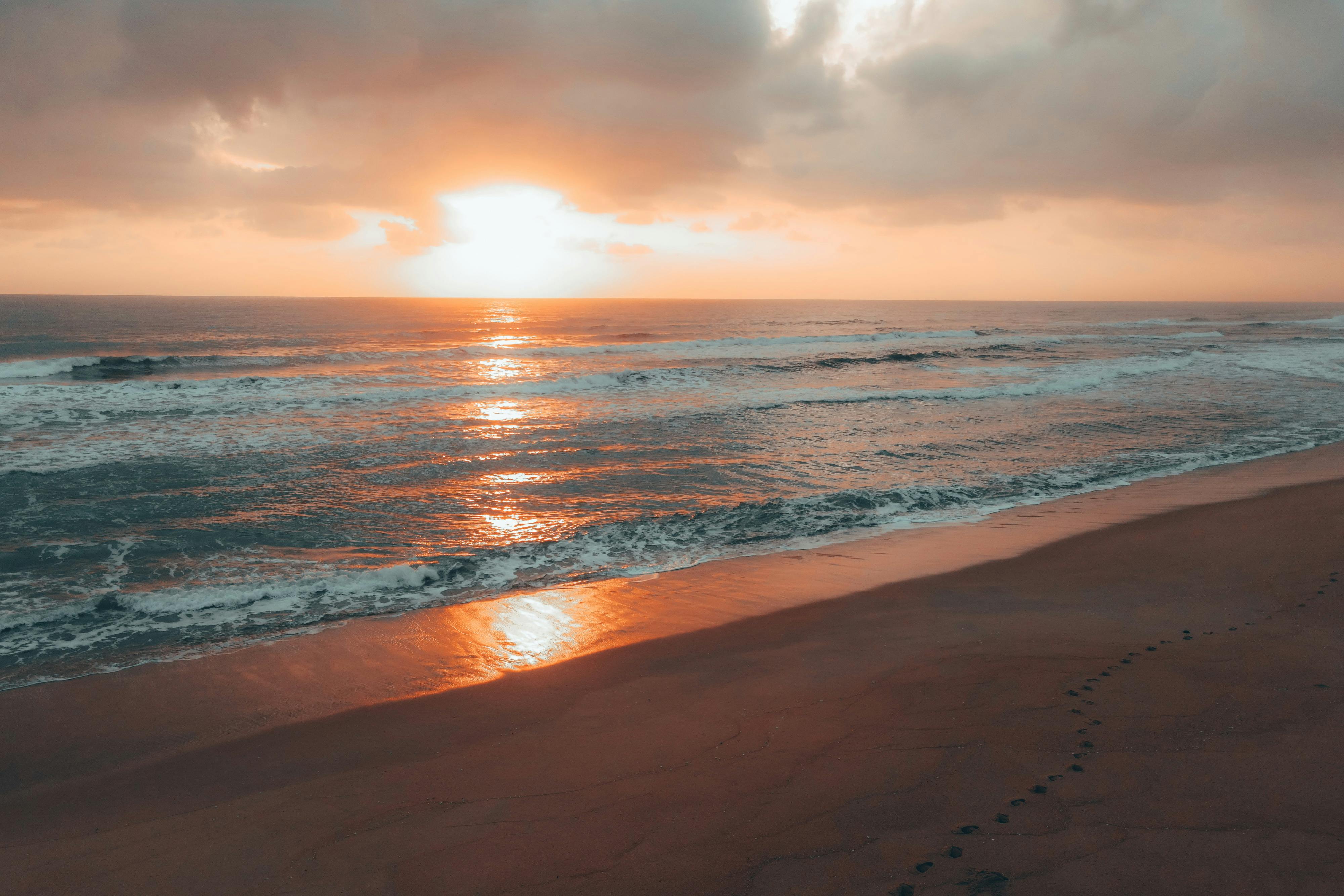 Beach Landscape